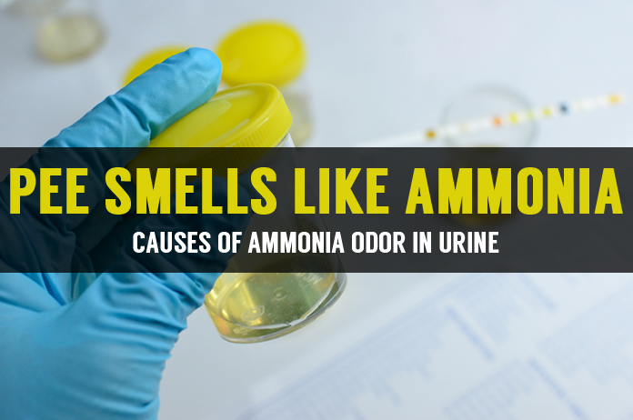 Pee Or Urine Smells Like Ammonia Causes And Remedies