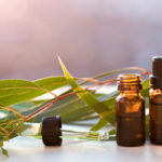 eucalyptus essential oil