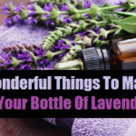 lavender essential oils