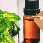 uses for peppermint oil