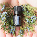 juniper oils skin inflammation