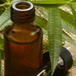 tea tree oils for skin illness