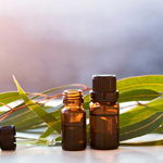 eucalyptus oil for pain relieving