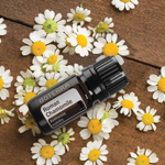 roman chamomile oil