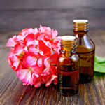 rose geranium oil