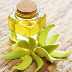 ylang ylang oil