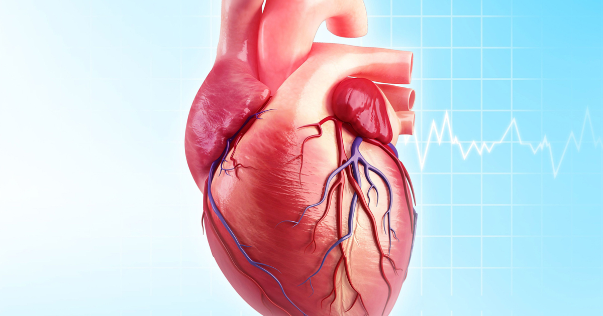 learn-about-how-to-cure-and-home-remedies-for-heart-blockage