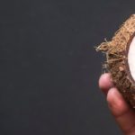 the ketogenic diet and coconut oil